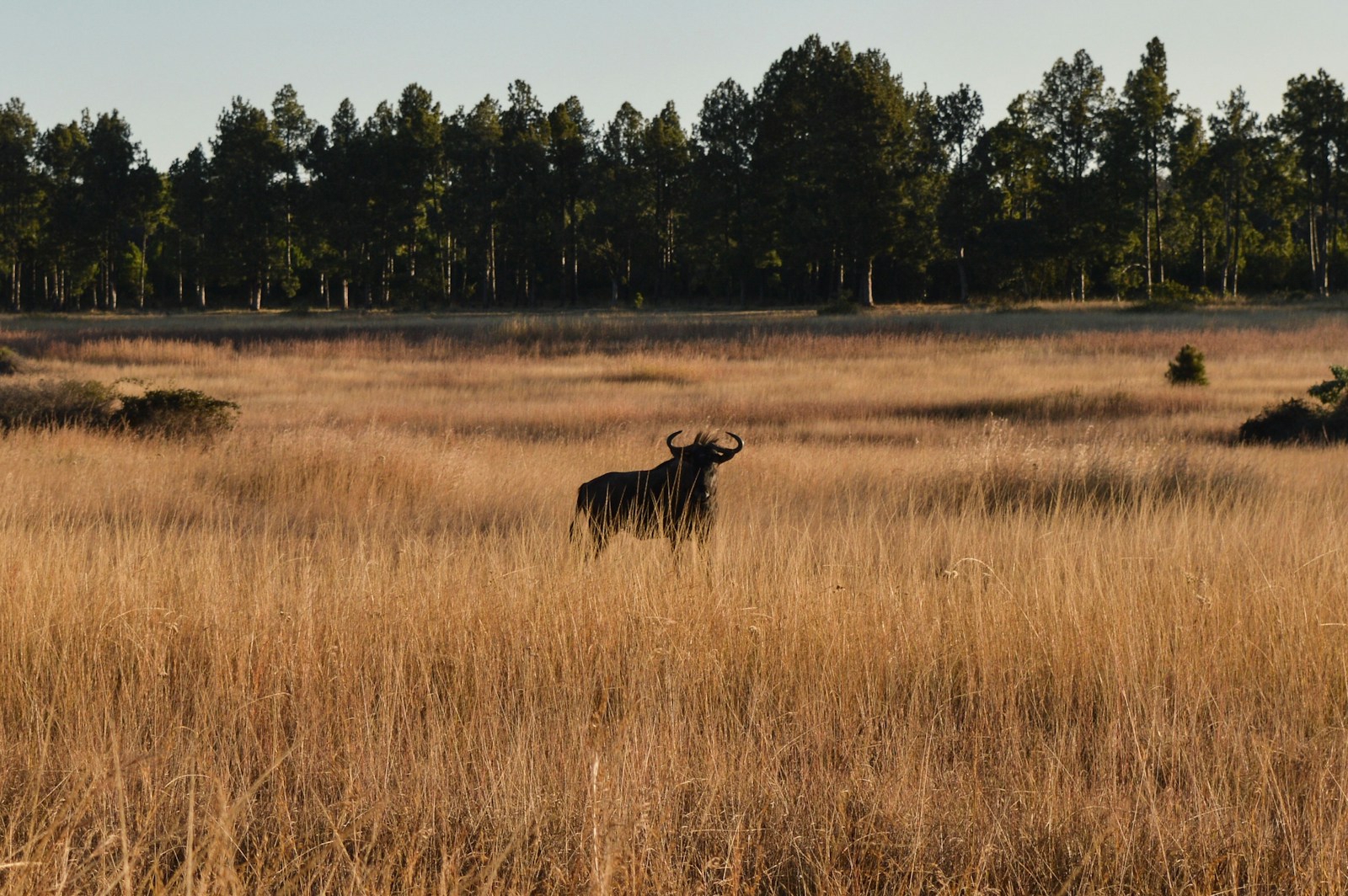 Best time to visit Zimbabwe