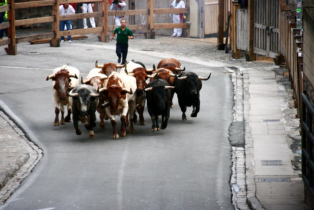 San Fermines Toros